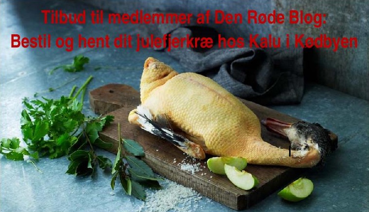 Gl M julefjerkræ 2 2013-page-001 cropped